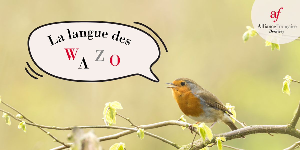 Jeu De Société "Le Jeu De La Langue Française" - Occasion - Un Jeu Dont Le Mot Est Le Héros